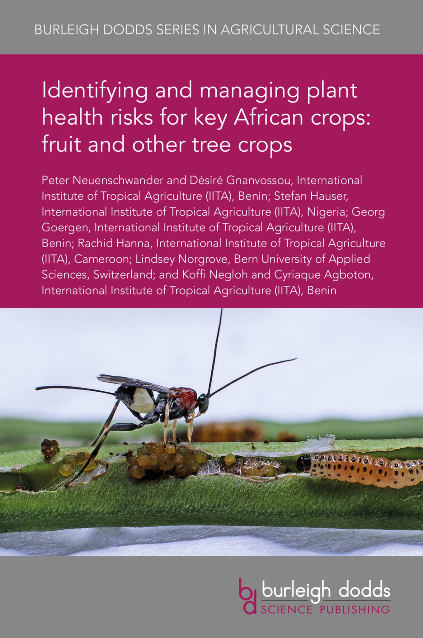 Cover image for Identifying and managing plant health risks for key African crops: fruit and other tree crops ISBN 9781838797607